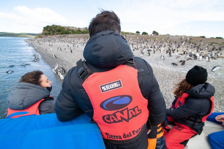 Navigation to Martillo Island and penguin watching