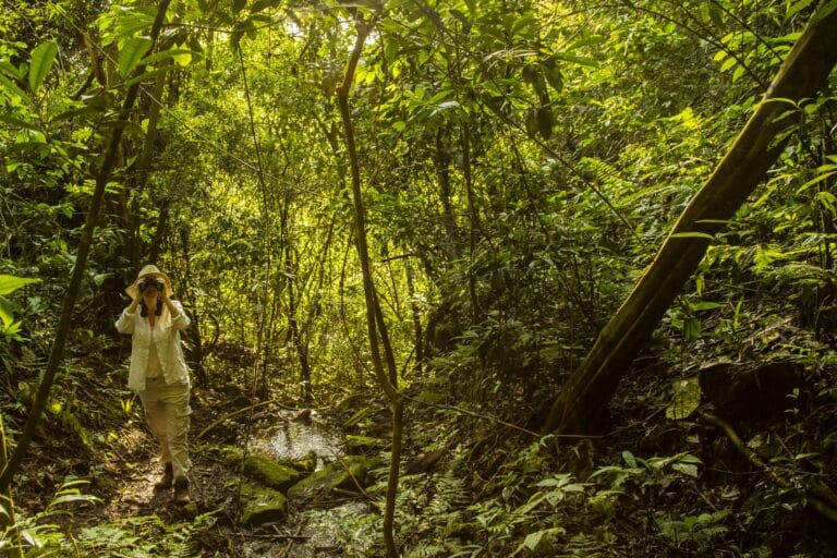 Woman walking in the forest close to La Lorenza Iguazu.