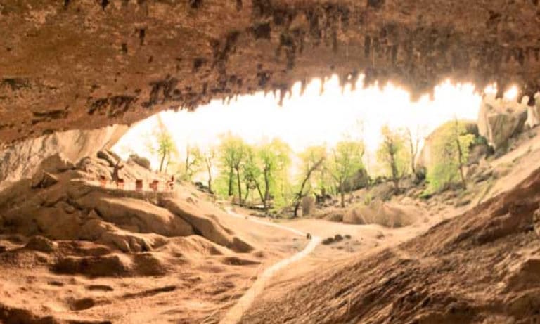 milodon cave_Mesa de trabajo 1