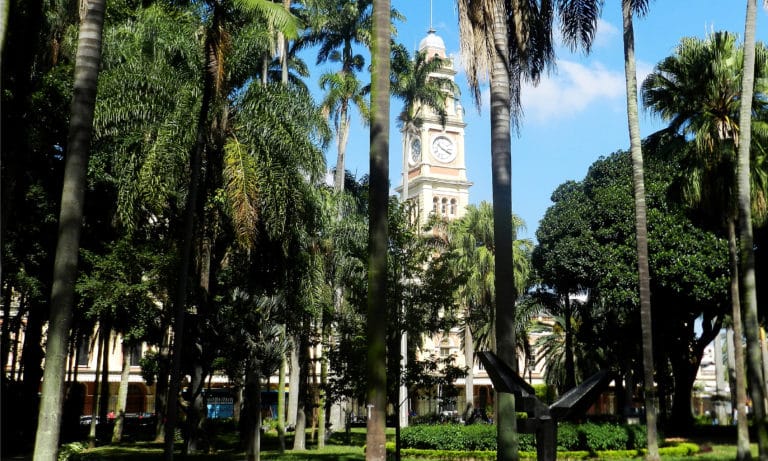 parque da luz sao paulo brazil_Mesa de trabajo 1