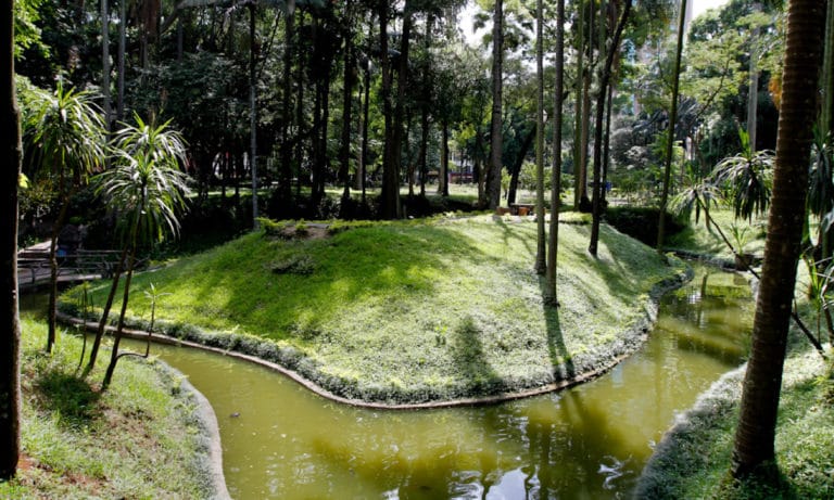 parque da luz sao paulo_Mesa de trabajo 1