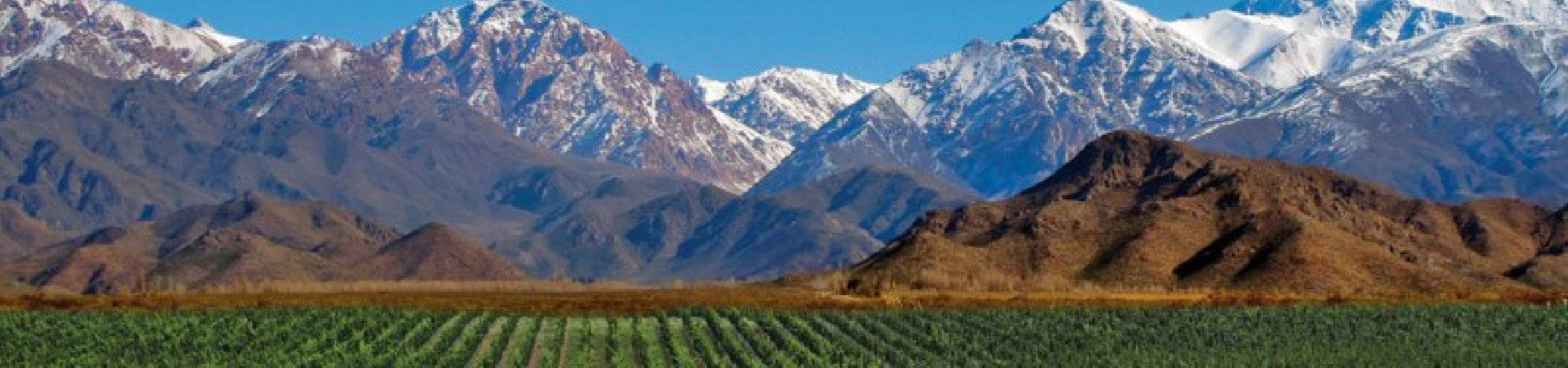 Vineyards and Wineries in Mendoza Wine Country - Argentina. RipioTurismo DMC for Argentina