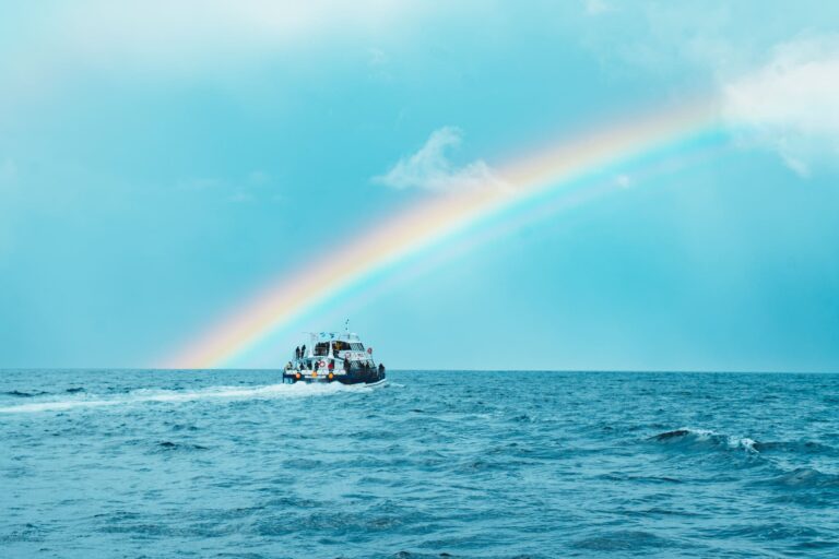 Beagle Channel Navigation Sea Lions Island (2)
