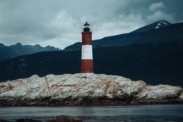Beagle Channel Navigation Sea Lions Island (6)