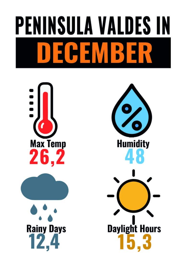 CLIMA PMY DEC-01