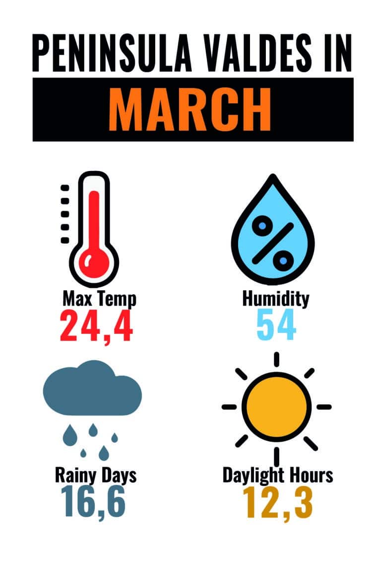 CLIMA PMY MAR-01