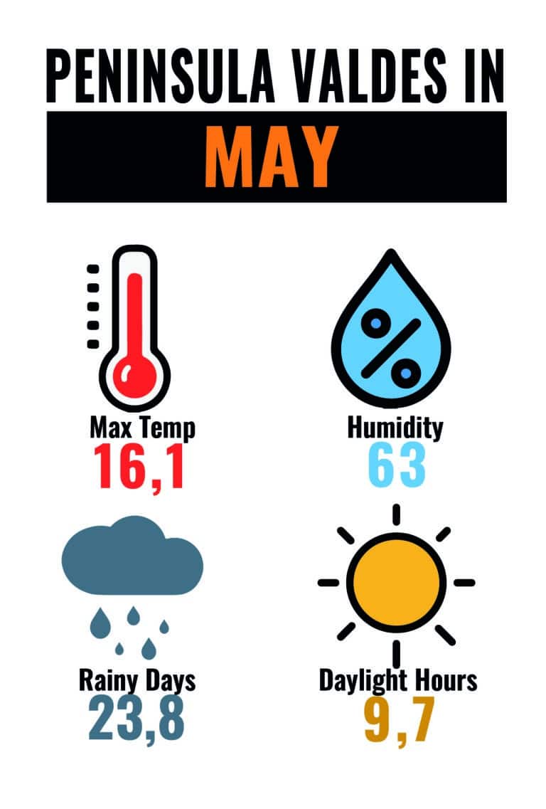 CLIMA PMY MAY-01