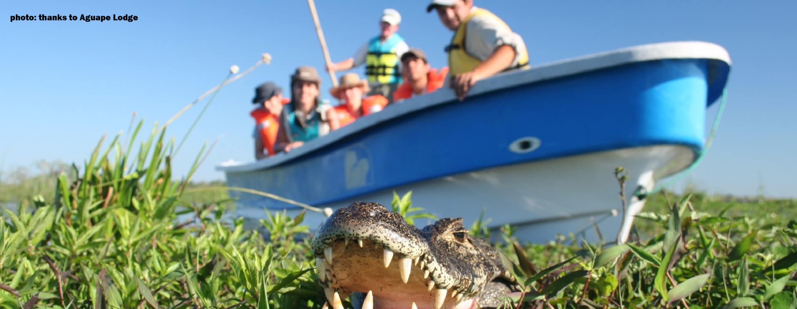 Boat navigations in Ibera Wetlands - RipioTurismo Incoming tour operator Argentina