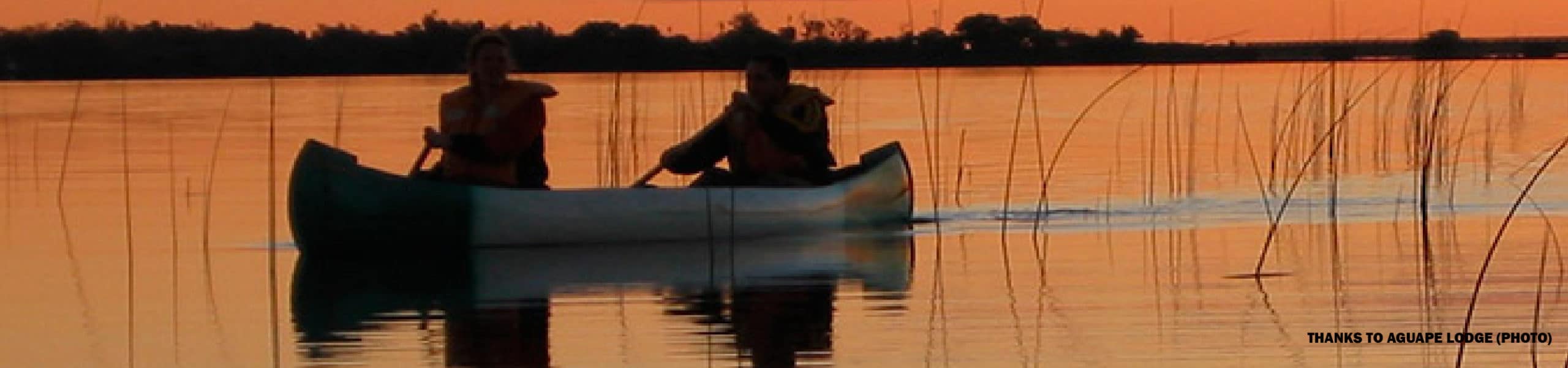 Ibera Wetlands, by ripioturismo incoming tour operator Argentina DMC