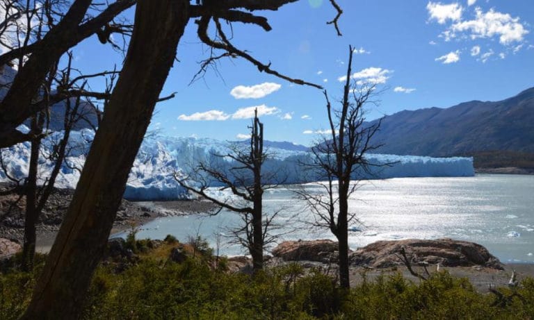 peritomorenoglacier 4_Mesa de trabajo 1