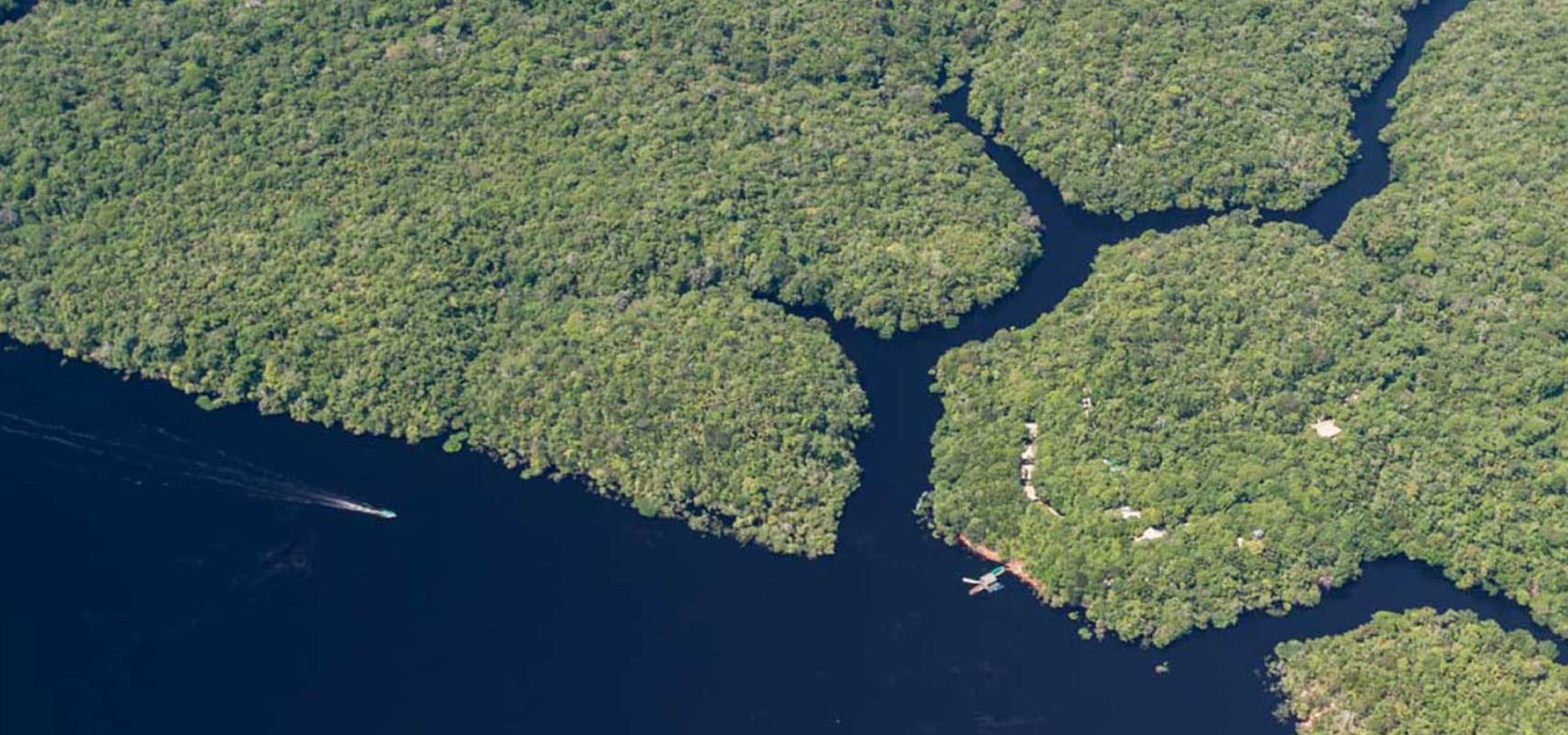 anavilhanas national park, Amazonas - RipioTurismo DMC for Brazil