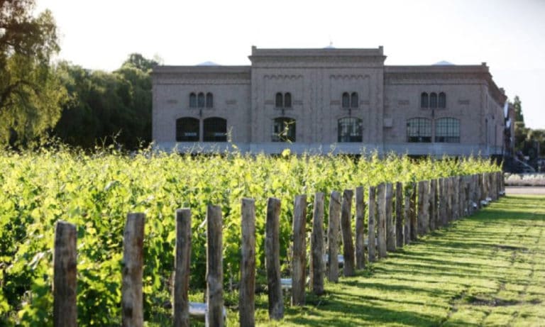 Full day wine experience in Lujan de Cuyo and Maipu 1_Mesa de trabajo 1