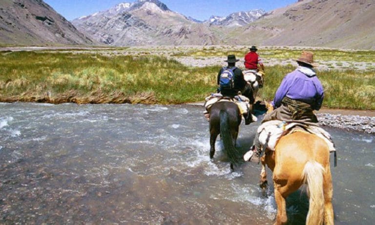 Horseback Riding among vineyards in Mendoza 1_Mesa de trabajo 1