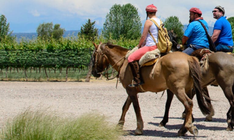 Horseback riding among vineyards in Mendoza 3_Mesa de trabajo 1