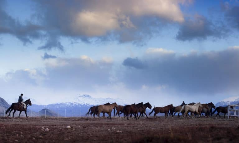 estancia cristina horseback riding 3_Mesa de trabajo 1