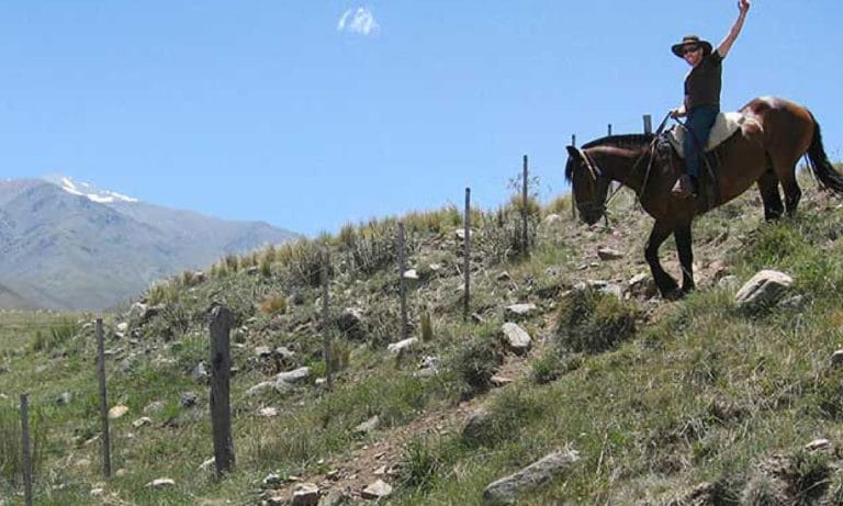 horseback riding estancia la alejandra_Mesa de trabajo 1