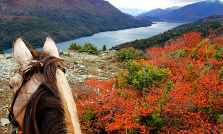 horseback riding in Bariloche 1_Mesa de trabajo 1