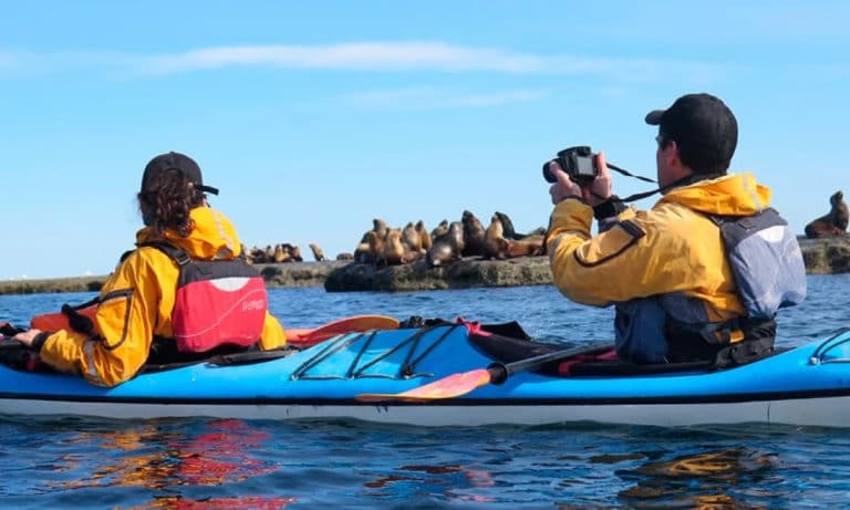 kayaking in puerto piramides 1_Mesa de trabajo 1