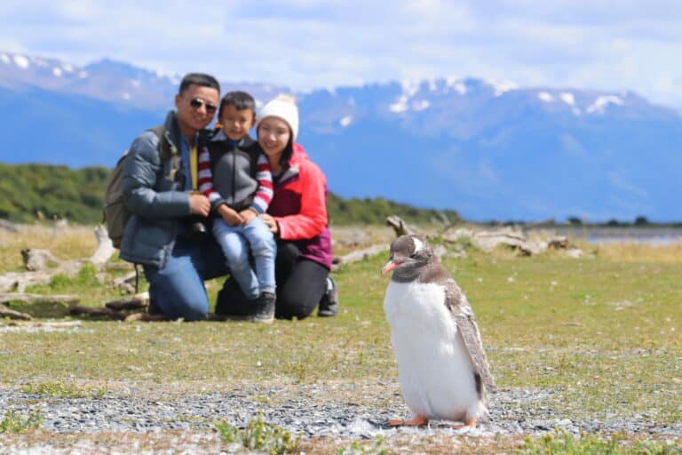 A family looking at a penguin in Martillo Island, Ushuaia, Tierra del Fuego, Argentina.