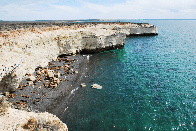 Punta Loma - Sea Lions