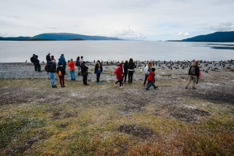 People walking among penguins on Martillo Island.