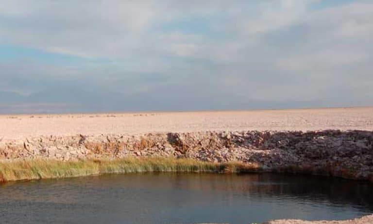 ojo del salar atacama_Mesa de trabajo 1