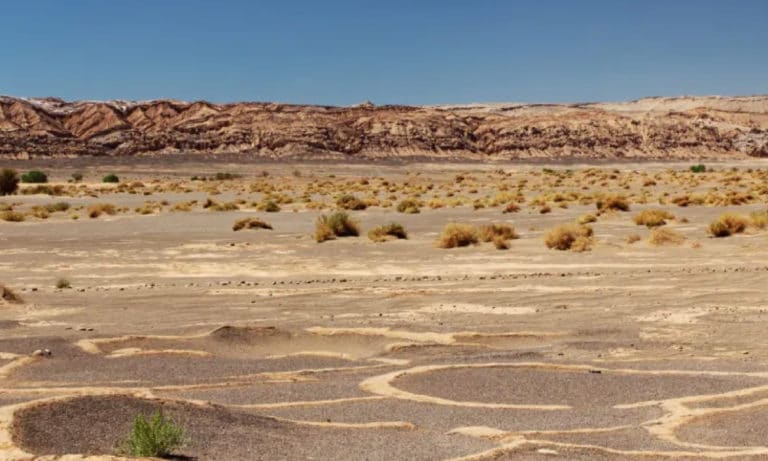 pucara de quitor san pedro de atacama 1_Mesa de trabajo 1