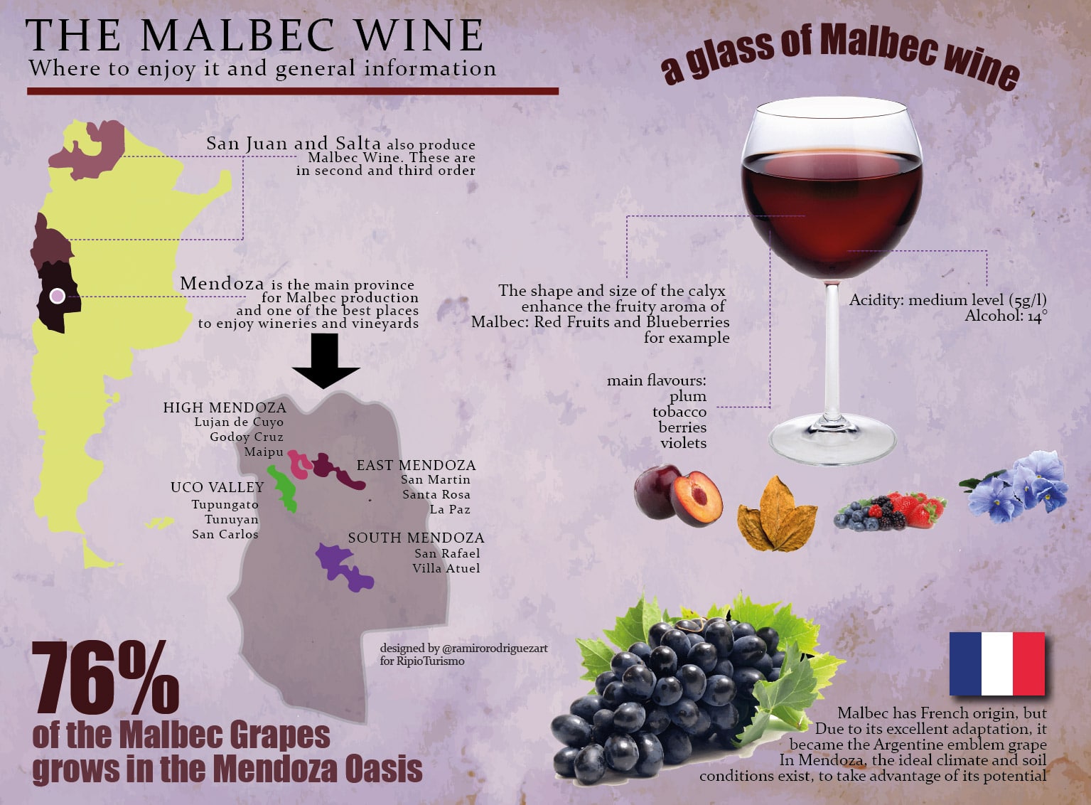 The Malbec Wine in Argentina: Mendoza