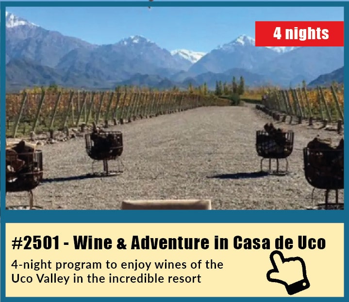 4-Night Wine & Adventure Tour in Casa de Uco, Mendoza