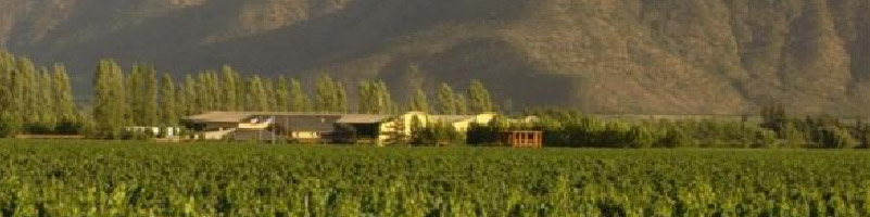 Wine Valleys in Chile - Cachapoal