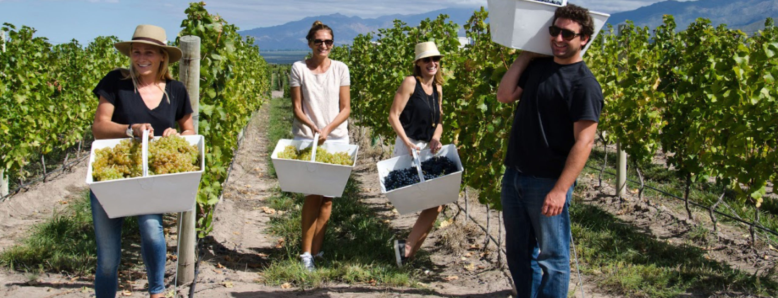 Wine Adventure in Casa de Uco, Mendoza