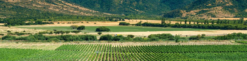 Wine Valleys in Chile - Colchagua Valley