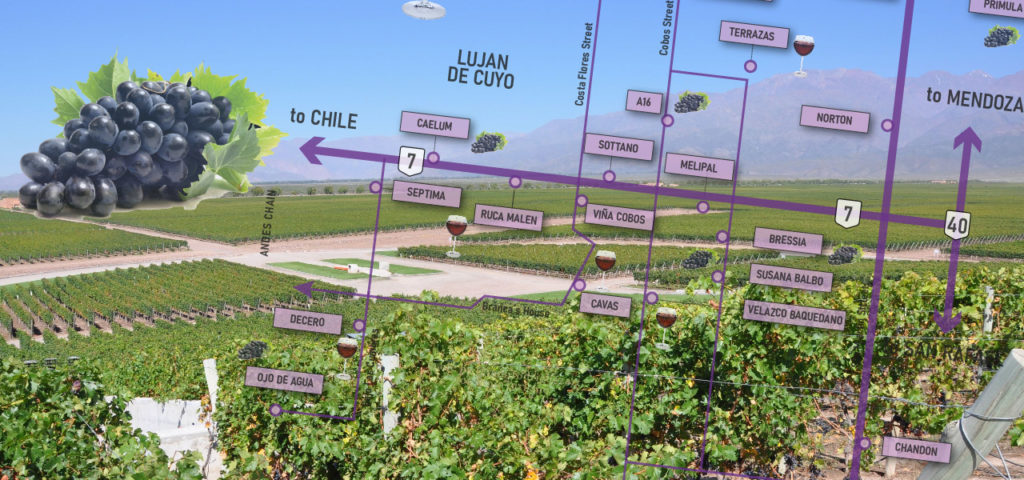 Wineries and Vineyards of Mendoza - Map of Lujan de Cuyo