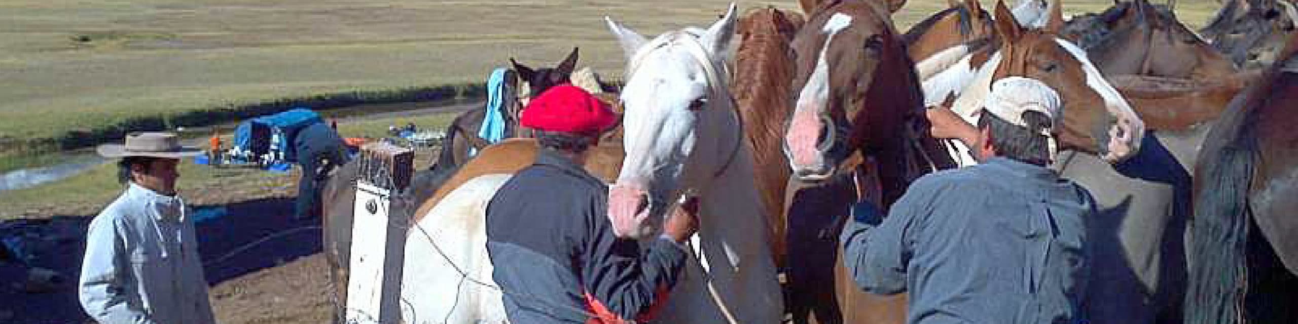 Horseback riding from Mendoza to Piuquenes in the Andes