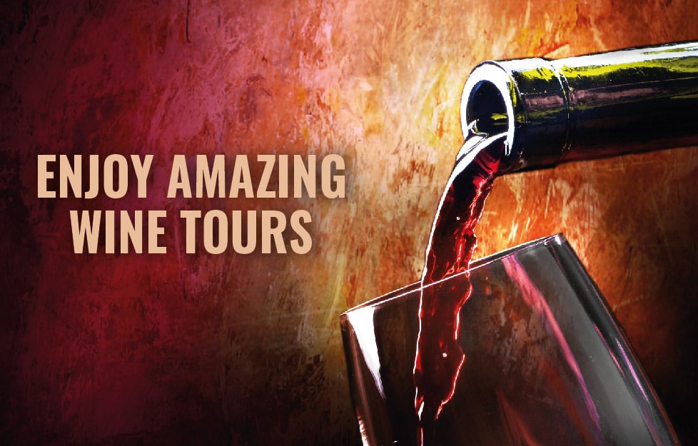 enjoy amazing wine tours mendoza_Mesa de trabajo 1