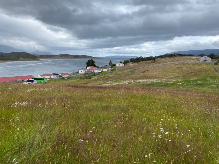 Harberton Ranch, Tierra del Fuego, Patagonia