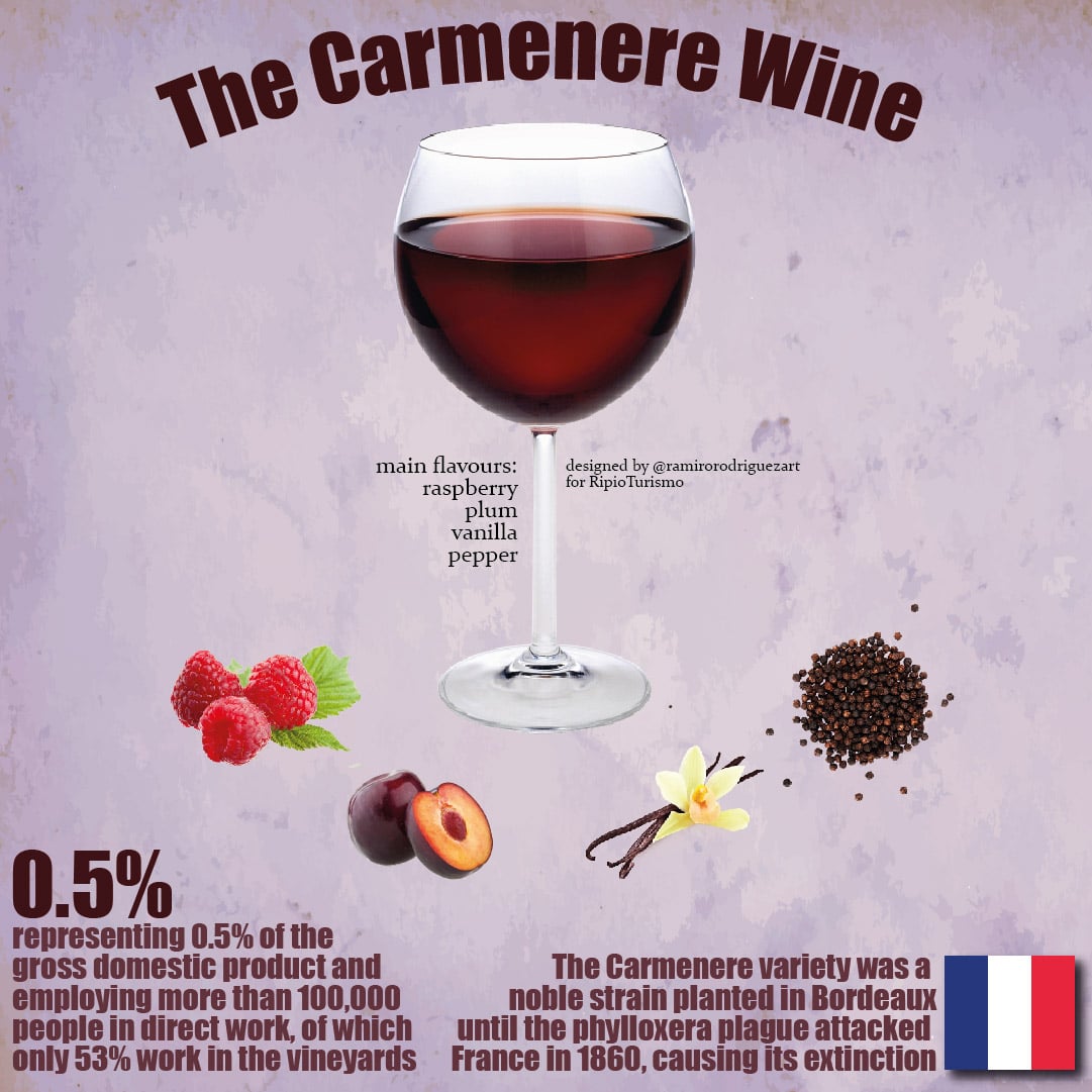 the carmenere infographic