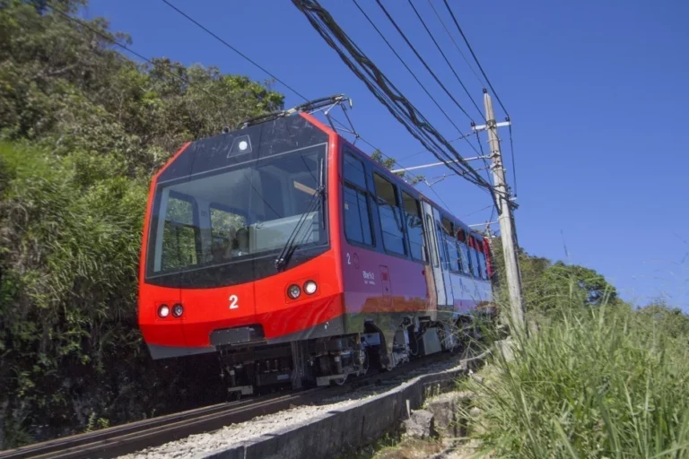 Corcovado Train