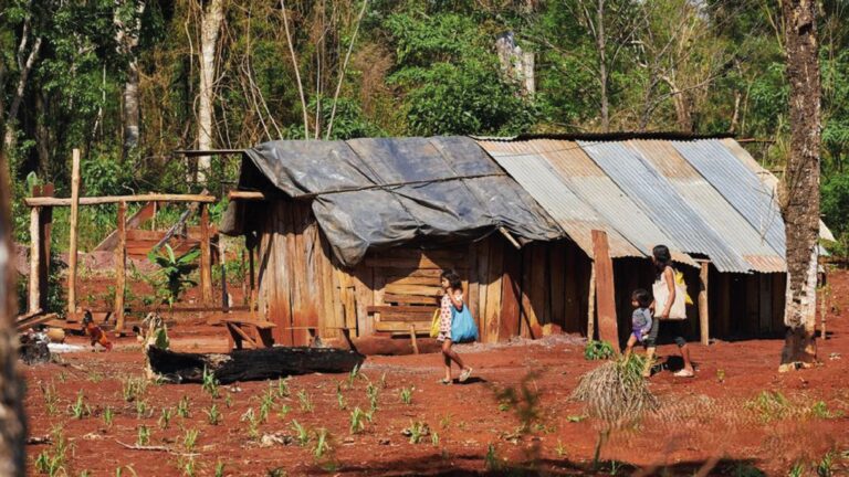 City Tour With Guarani Village
