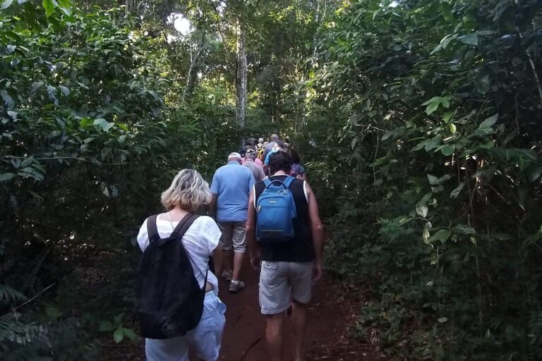 Guarani village