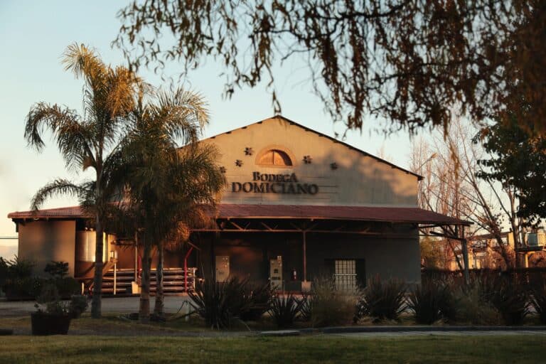 Bodegas y aceitera 4
