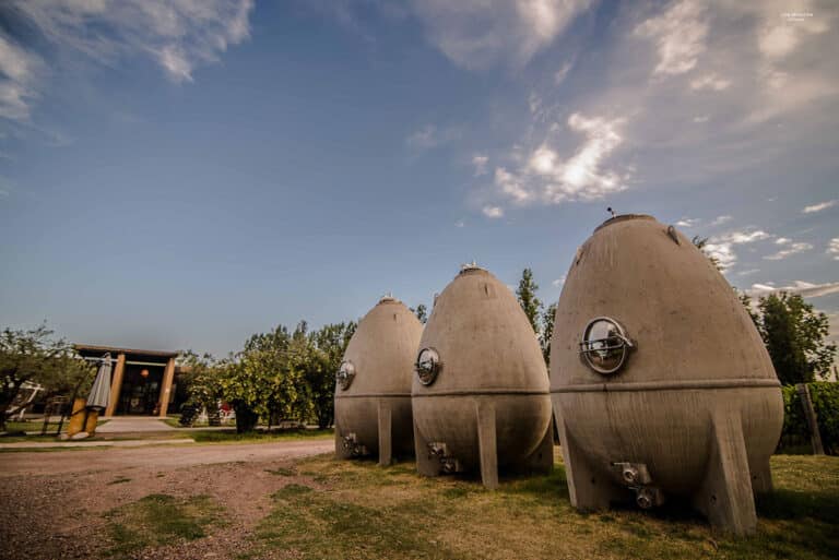 Caminos del Vino Maipu 3