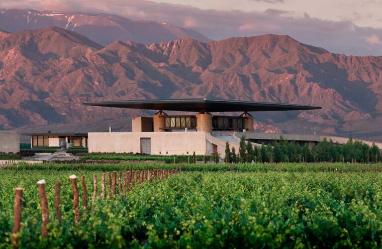 Caminos del Vino Valle de Uco 4