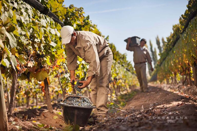 Caminos del Vino Valle de Uco 5