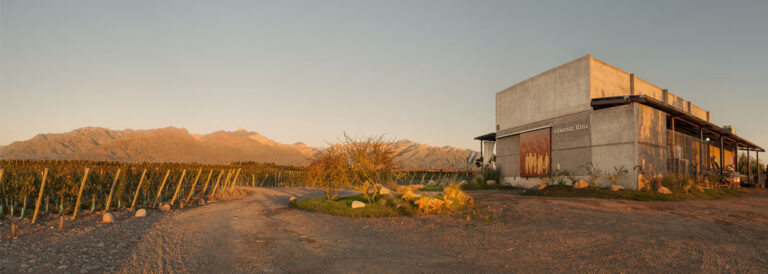 Caminos del Vino Valle de Uco 6
