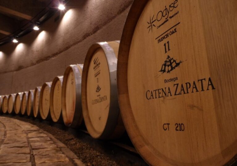 Caminos del Vino desde Uco 2