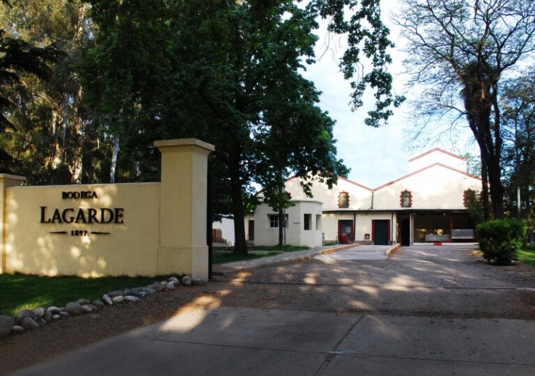 Caminos del Vino desde Uco