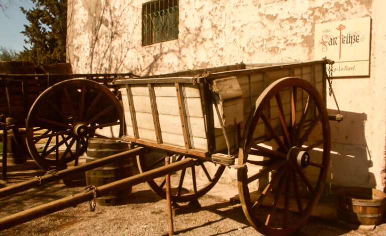 Vinos con historia 4