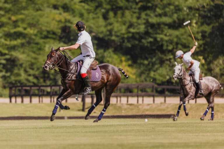 5_843a8735-2594-40c1-bed0-8ab349810039_1400x