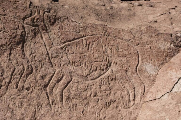 Copia-de-yerbas-buenas-2-1